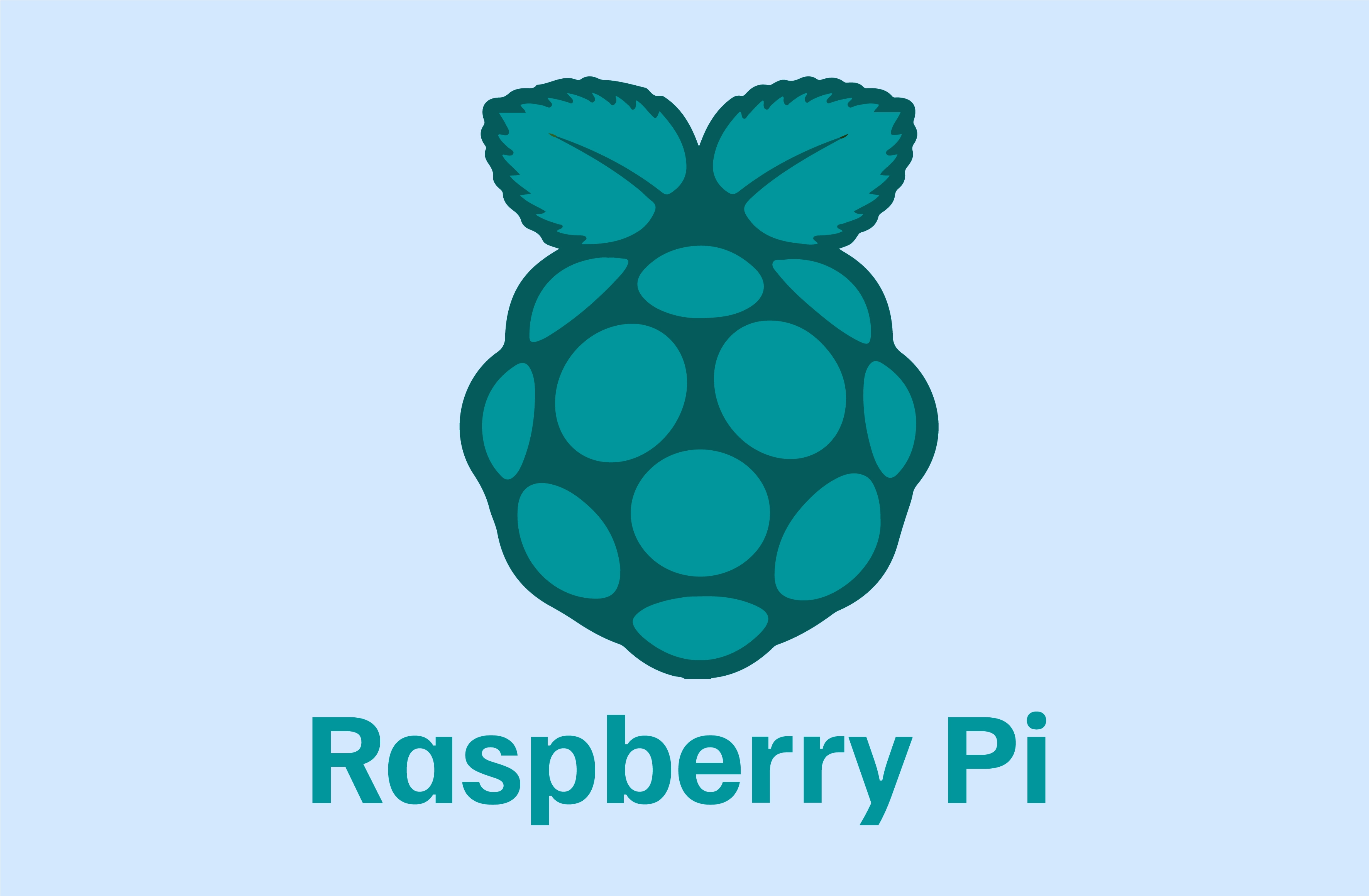 Raspberry pi Training